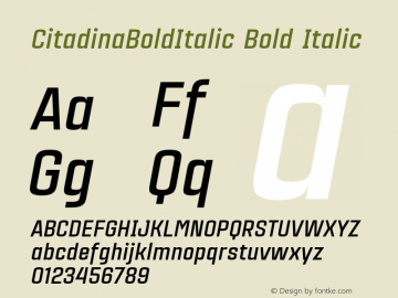 CitadinaBoldItalic Bold Italic Version 001.001 ;com.myfonts.easy.graviton.citadina.bold-italic.wfkit2.version.4AeU图片样张