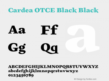 Cardea OTCE Black Black Version 1.0图片样张