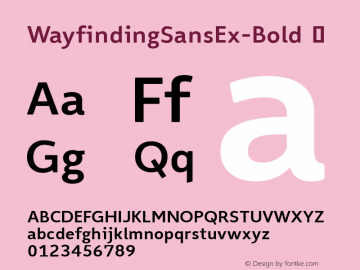 WayfindingSansEx-Bold ☞ Version 1.100;PS 001.100;hotconv 1.0.56;makeotf.lib2.0.21325;com.myfonts.fdi.wayfinding-sans-pro.wayfinding-sans-ex-bold.wfkit2.3Rra Font Sample
