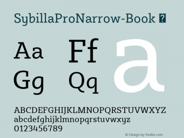 SybillaProNarrow-Book ☞ Version 3.700;com.myfonts.easy.karandash.sybilla-pro.narrow-book.wfkit2.version.4zkB图片样张