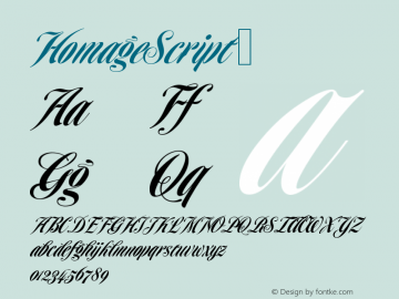 HomageScript ☞ Version 1.000;com.myfonts.easy.garagefonts.homage-script.regular.wfkit2.version.4AQD图片样张