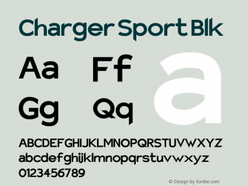 Charger Sport Blk Version 1.1图片样张