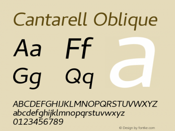 Cantarell Oblique Version 0.024 图片样张