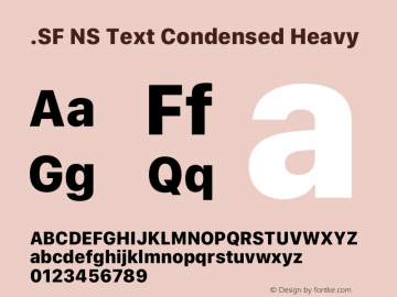 .SF NS Text Condensed Heavy 12.0d8e13 Font Sample