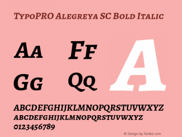 TypoPRO Alegreya SC Bold Italic Version 1.003图片样张