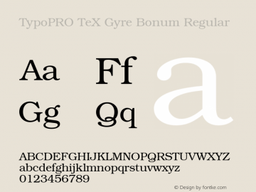 TypoPRO TeX Gyre Bonum Regular Version 2.004;PS 2.004;hotconv 1.0.49;makeotf.lib2.0.14853 Font Sample