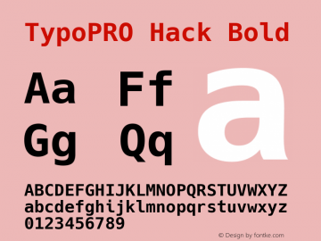 TypoPRO Hack Bold Version 2.020图片样张