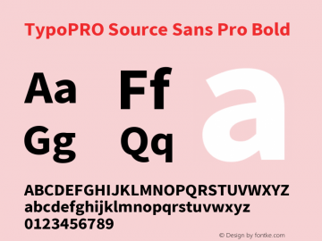 TypoPRO Source Sans Pro Bold Version 2.020;PS 2.000;hotconv 1.0.86;makeotf.lib2.5.63406图片样张