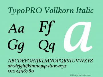 TypoPRO Vollkorn Italic Version 3.005;PS 003.005;hotconv 1.0.70;makeotf.lib2.5.58329图片样张