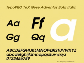 TypoPRO TeX Gyre Adventor Bold Italic Version 2.003;PS 2.003;hotconv 1.0.49;makeotf.lib2.0.14853 Font Sample