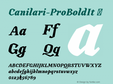 Canilari-ProBoldIt ☞ Version 1.001;PS 001.001;hotconv 1.0.88;makeotf.lib2.5.64775;com.myfonts.easy.latinotype.canilari.pro-bold-italic.wfkit2.version.4BWF图片样张