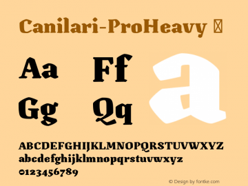 Canilari-ProHeavy ☞ Version 1.000;PS 001.000;hotconv 1.0.88;makeotf.lib2.5.64775;com.myfonts.easy.latinotype.canilari.pro-heavy.wfkit2.version.4BU9 Font Sample
