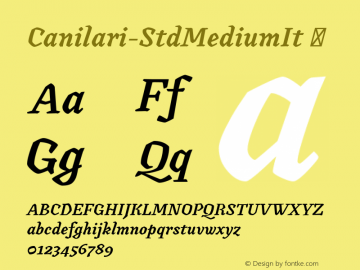 Canilari-StdMediumIt ☞ Version 1.001;PS 001.001;hotconv 1.0.88;makeotf.lib2.5.64775;com.myfonts.easy.latinotype.canilari.std-medium-italic.wfkit2.version.4BWT图片样张