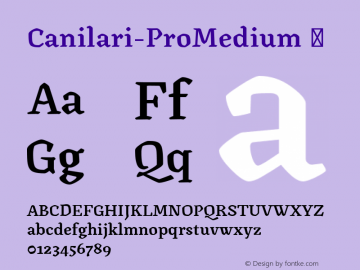 Canilari-ProMedium ☞ Version 2.001;PS 002.001;hotconv 1.0.88;makeotf.lib2.5.64775;com.myfonts.easy.latinotype.canilari.pro-medium.wfkit2.version.4BWH图片样张