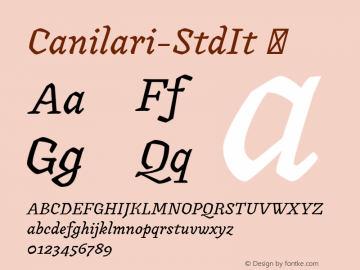 Canilari-StdIt ☞ Version 1.001;PS 001.001;hotconv 1.0.88;makeotf.lib2.5.64775;com.myfonts.easy.latinotype.canilari.std-italic.wfkit2.version.4BWP图片样张