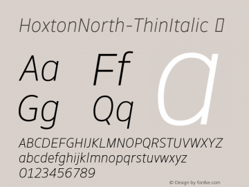 HoxtonNorth-ThinItalic ☞ Version 1.002;PS 001.002;hotconv 1.0.88;makeotf.lib2.5.64775;com.myfonts.easy.northernblock.hoxton-north.thin-italic.wfkit2.version.4yQm Font Sample