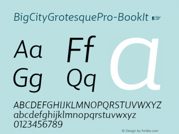 BigCityGrotesquePro-BookIt ☞ Version 1.005;PS 1.2;hotconv 1.0.88;makeotf.lib2.5.647800;com.myfonts.easy.cstm-fonts.bigcity-grotesque-pro.book-italic.wfkit2.version.4BQ4图片样张