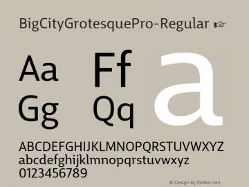 BigCityGrotesquePro-Regular ☞ Version 1.005;PS 1.2;hotconv 1.0.88;makeotf.lib2.5.647800;com.myfonts.easy.cstm-fonts.bigcity-grotesque-pro.regular.wfkit2.version.4BQg图片样张