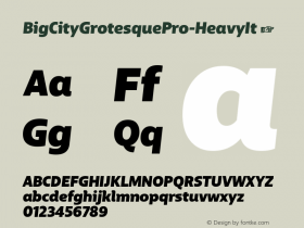 BigCityGrotesquePro-HeavyIt ☞ Version 1.005;PS 1.1;hotconv 1.0.88;makeotf.lib2.5.647800;com.myfonts.easy.cstm-fonts.bigcity-grotesque-pro.heavy-italic.wfkit2.version.4BQc Font Sample