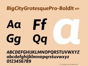 BigCityGrotesquePro-BoldIt ☞ Version 1.005;PS 1.2;hotconv 1.0.88;makeotf.lib2.5.647800;com.myfonts.easy.cstm-fonts.bigcity-grotesque-pro.bold-italic.wfkit2.version.4BQ8 Font Sample