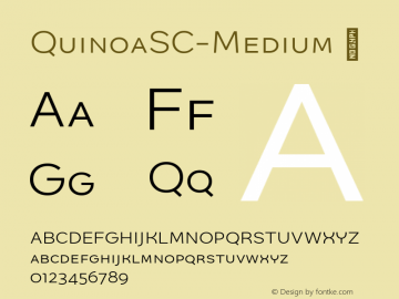 QuinoaSC-Medium ☞ Version 1.003;PS 001.003;hotconv 1.0.88;makeotf.lib2.5.64775;com.myfonts.easy.catharsis-fonts.quinoa.sc-medium.wfkit2.version.4BDh图片样张