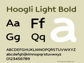 Hoogli Light Bold Version 1.00 b004图片样张