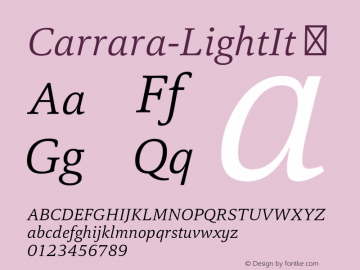 Carrara-LightIt ☞ Version 1.000;com.myfonts.easy.hoftype.carrara.light-italic.wfkit2.version.4C19图片样张
