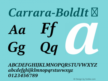 Carrara-BoldIt ☞ Version 1.000;com.myfonts.easy.hoftype.carrara.bold-Italic.wfkit2.version.4C15图片样张