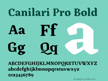 Canilari Pro Bold Version 2.100; 2016图片样张