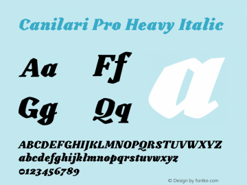 Canilari Pro Heavy Italic Version 2.100; 2016图片样张