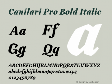 Canilari Pro Bold Italic Version 2.100; 2016图片样张