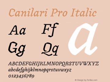 Canilari Pro Italic Version 2.100; 2016图片样张