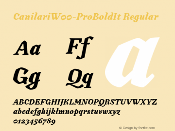 CanilariW00-ProBoldIt Regular Version 1.10图片样张
