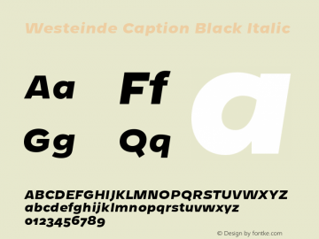 Westeinde Caption Black Italic Version 0.000;PS 0.0;hotconv 1.0.70;makeotf.lib2.5.58329 DEVELOPMENT图片样张
