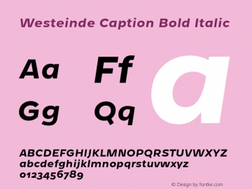 Westeinde Caption Bold Italic Version 0.000;PS 0.0;hotconv 1.0.70;makeotf.lib2.5.58329 DEVELOPMENT图片样张