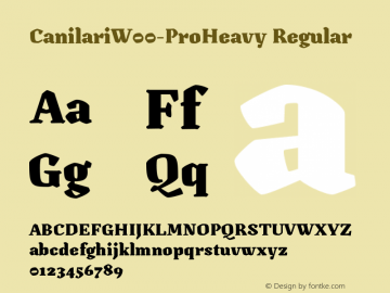 CanilariW00-ProHeavy Regular Version 1.00 Font Sample