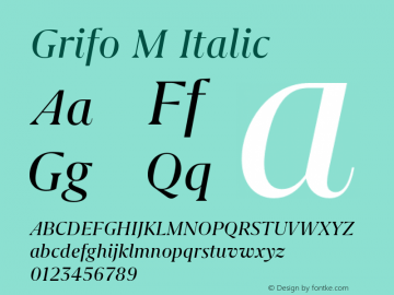 Grifo M Italic Version 1.000;PS 001.000;hotconv 1.0.88;makeotf.lib2.5.64775图片样张