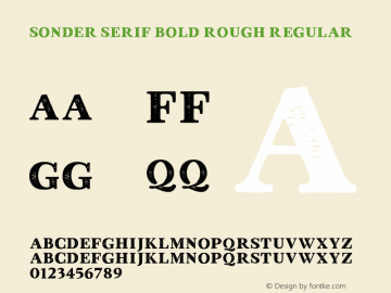 Sonder Serif Bold Rough Regular Version 1.000;PS 001.000;hotconv 1.0.70;makeotf.lib2.5.58329 Font Sample