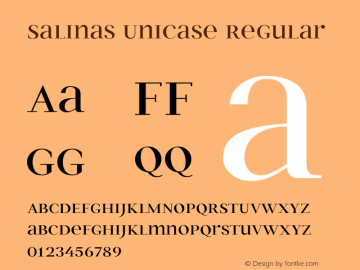 Salinas Unicase Regular Version 1.000 Font Sample