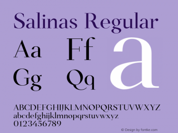 Salinas Regular Version 1.000;PS 001.000;hotconv 1.0.88;makeotf.lib2.5.64775 Font Sample