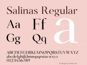 Salinas Regular Version 1.000 Font Sample