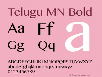 Telugu MN Bold 12.0d1e1 Font Sample