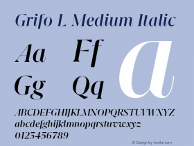 Grifo L Medium Italic Version 1.000;PS 001.000;hotconv 1.0.88;makeotf.lib2.5.64775图片样张