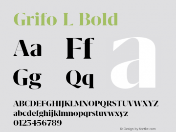 Grifo L Bold Version 1.000;PS 001.000;hotconv 1.0.88;makeotf.lib2.5.64775图片样张