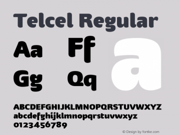 Telcel Regular Version 1.00 2010图片样张