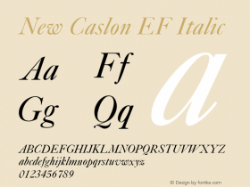 New Caslon EF Italic Version 1.000 Font Sample