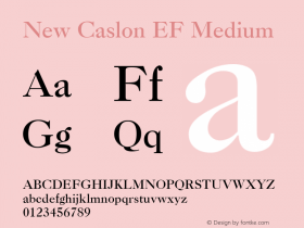 New Caslon EF Medium Version 1.000 Font Sample