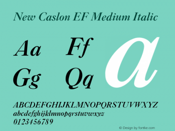 New Caslon EF Medium Italic Version 1.000图片样张