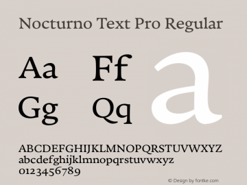 Nocturno Text Pro Regular Version 1.000图片样张