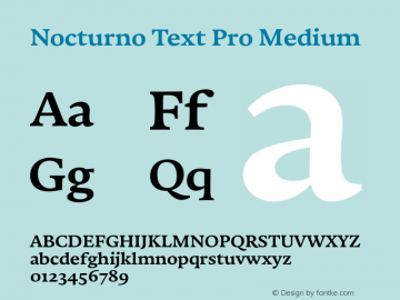 Nocturno Text Pro Medium Version 1.000图片样张